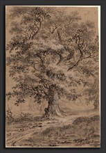 Johann Caspar Huber (Swiss, 1752 - 1827), A Leafy Oak by a Woodland Path, 1780s, graphite, black