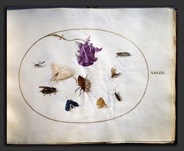 Joris Hoefnagel (Flemish, 1542 - 1600), Animalia Rationalia et Insecta (Ignis), volume I, c.