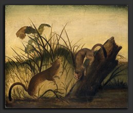 Studio of John James Audubon, Long-Tailed Weasel, c. 1845, oil on canvas