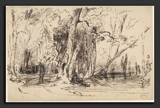 Paul Huet, Flooding in the Forest of the Ile Séguin, French, 1803 - 1869, c. 1833, pen and iron