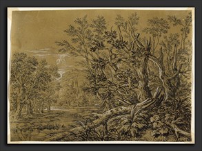 Jonas Umbach (German, c. 1624 - 1693), Stream through an Ancient Forest, black chalk heightened