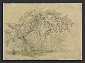 Friedrich Salathé (Swiss, 1793 - 1858), Grove of Trees, c. 1835, pen and black ink over graphite on