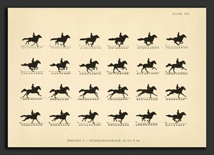 Eadweard Muybridge (American, born England, 1830 - 1904), The Horse in Motion as Shown by