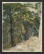 Friedrich Salathé (Swiss, 1793 - 1858), Rays of Sunlight Striking a Woodland Path, c. 1815, pen and