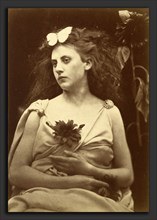Julia Margaret Cameron (British, 1815 - 1879), The Sunflower, 1866-1870, albumen print