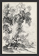 Joseph-Marie Vien, A Towering Tree with Travelers, French, 1716 - 1809, 1746-1749, black chalk on