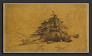 John Varley, Study of Trees in a Landscape, British, 1778 - 1842, pen and brown ink with brown wash