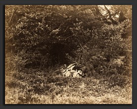 EugÃ¨ne Cuvelier, A Rock in the Forest, French, 1837 - 1900, c. 1865, albumen print from paper