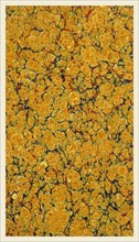 Background, marbled paper, 19th century, yellow