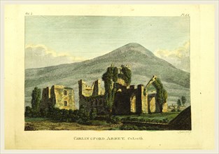 Carlin Gford Abbey, Co. Louth, Antiquities of the County of Meath, Ireland, 19th century