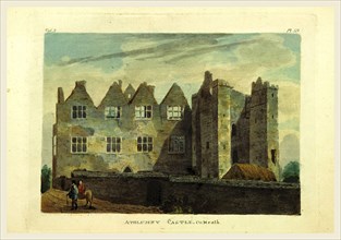 Athlumny Castle, Antiquities of the County of Meath, Ireland, 19th century