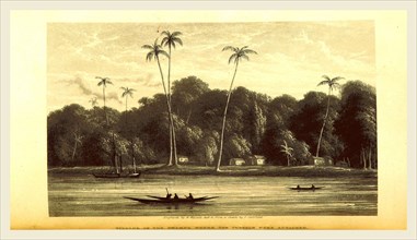 Narrative of an expedition into the interior of Africa, by the River Niger, in the steam-vessels