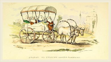 Arabat or Turkish Ladies Carriage, Damascus and Palmyra, a journey to the East, 19th century