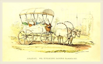 Arabat or Turkish ladies Carriage, Damascus and Palmyra, a journey to the East. With a sketch of