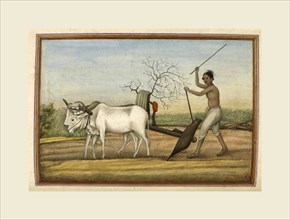 Represented by a man ploughing. Tashrih al-aqvam, an account of origins and occupations of some of