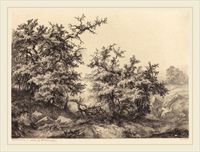 EugÃ¨ne Bléry (French, 1805-1887), Thornbushes, 1840, etching with drypoint and roulette on chine