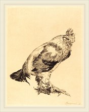 Félix Bracquemond (French, 1833-1914), The Old Cock, 1882, etching