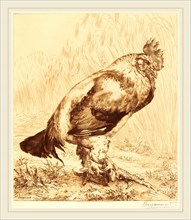 Félix Bracquemond (French, 1833-1914), The Old Cock, 1882, etching