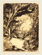 Jules-Ferdinand Jacquemart (French, 1837-1880), Plantes de Serre, 1863, etching in brown-black on