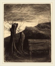 Alphonse Legros, Pollard Willows (Les saules tetards), French, 1837-1911, etching