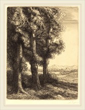 Alphonse Legros, Corner of a Wood (Coin d'un bois), French, 1837-1911, etching