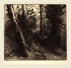 Alphonse Legros, Path through the Woods (Sentier sous bois), French, 1837-1911, drypoint