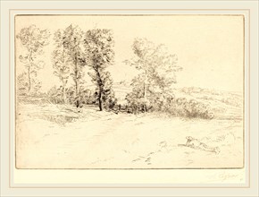 Alphonse Legros, Meadow in Sunshine (Le pre ensoleille), French, 1837-1911, drypoint