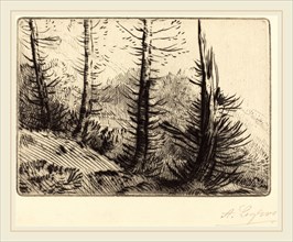 Alphonse Legros, In the Pyrenees (Dans les Pyrenees), French, 1837-1911, etching and drypoint