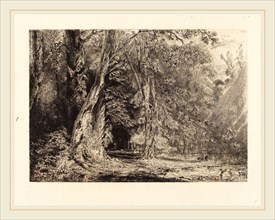 Paul Huet (French, 1803-1869), Flooding in the Forest of the Ile Séguin, 1833, etching on chine