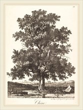 Antoine-Pierre Mongin (French, 1761-1762-1827), Chene (Oak Tree), 1816, lithograph