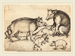 Martin Schongauer (German, c. 1450-1491), Family of Pigs, c. 1480-1490, engraving
