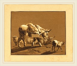 Johann Gottlieb Prestel after Joseph Wagner (German, 1739-1808), Donkey, published 1782, 4-color