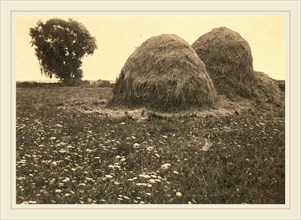 Arthur Wesley Dow (American, 1857-1922), Haystacks, Ipswich, c. 1894, platinum print