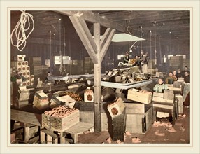 American 19th Century (Detroit Photographic Co.), Orange Packing at Redlands, 1899, photochrom