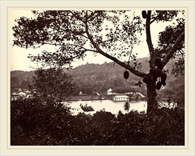 Samuel Bourne (British, 1834-1912), A Peep from Upper Lake Road showing Temple and Island with