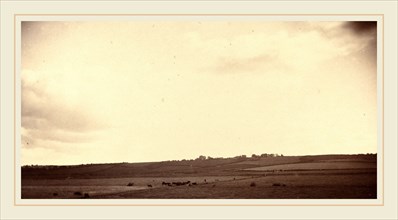 British 19th Century, View of Fields with Cows, 1850s-1860s, albumen print from a wet collodion