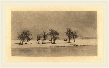 Peter Henry Emerson (British, 1856-1936), Gnarled-Thorn Trees, c. 1890, photogravure, printed c.