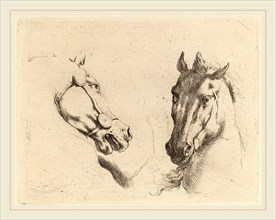 Stefano Della Bella (Italian, 1610-1664), Head of a Horse Seen in Profile and in Three-Quarters,