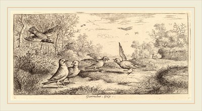 Albert Flamen (Flemish, c. 1620-1669 or after), Garrulus, The Jay, etching