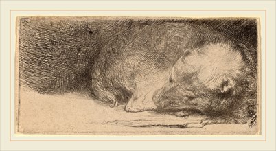 Rembrandt van Rijn (Dutch, 1606-1669), Sleeping Puppy, c. 1640, etching and drypoint