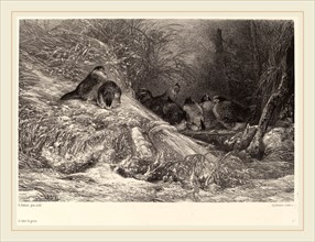 Karl Bodmer, A l'abri du givre, Swiss, 1809-1893, lithograph