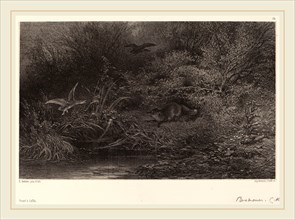 Karl Bodmer, Renard Ã  l'affÃ»t, Swiss, 1809-1893, lithograph