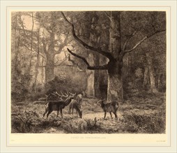 Karl Bodmer, ForÃªt de Fontainebleau, Swiss, 1809-1893, etching