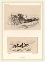 Karl Bodmer, Etudes, Swiss, 1809-1893, lithograph