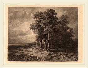 Alexandre Calame, Trees in a Storm, Swiss, 1810-1864, 1840, etching on chine collé