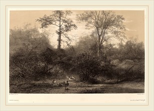 Karl Bodmer, Canards Sauvages, Swiss, 1809-1893, chiaroscuro lithograph