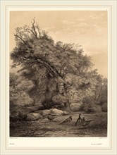 Karl Bodmer, Faisans, Swiss, 1809-1893, chiaroscuro lithograph