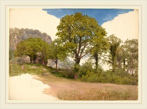 John Henry Hill, Trees Profiled against the Sky, American, 1839-1922, c. 1865, watercolor