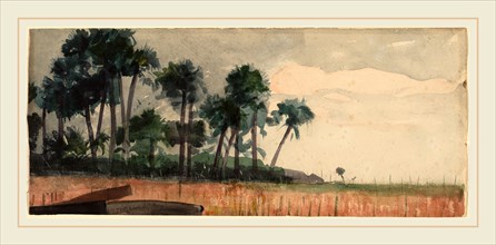 Winslow Homer, Palm Trees, Red, American, 1836-1910, 1890, watercolor over graphite