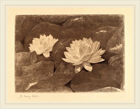 John Henry Hill, Waterlilies, American, 1839-1922, c. 1870, etching